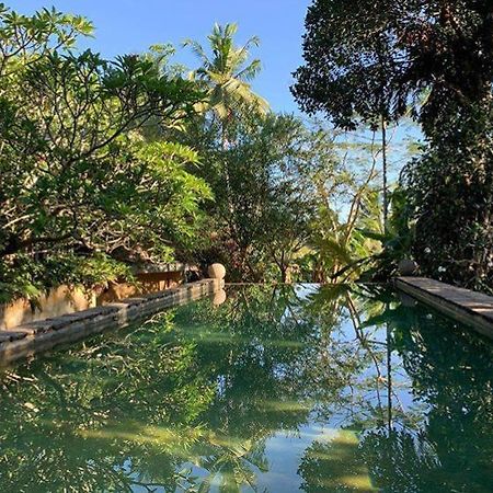Sri Yoga Shala Bed and Breakfast Unawatuna Esterno foto