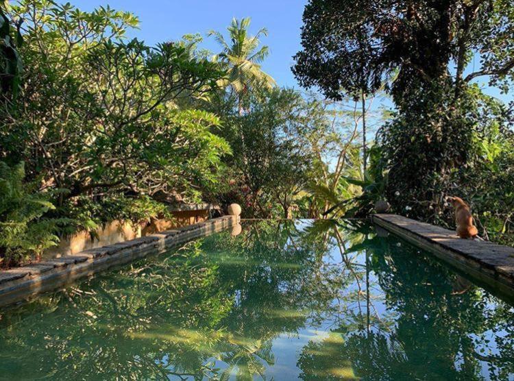 Sri Yoga Shala Bed and Breakfast Unawatuna Esterno foto